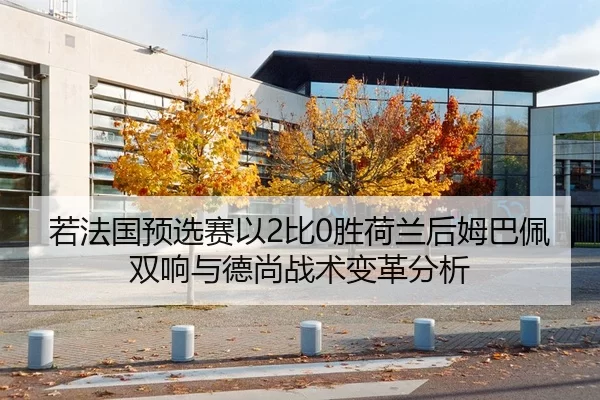 若法国预选赛以2比0胜荷兰后姆巴佩双响与德尚战术变革分析